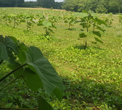 Pack Citoyen - Elimination de 10 Tonnes de CO2